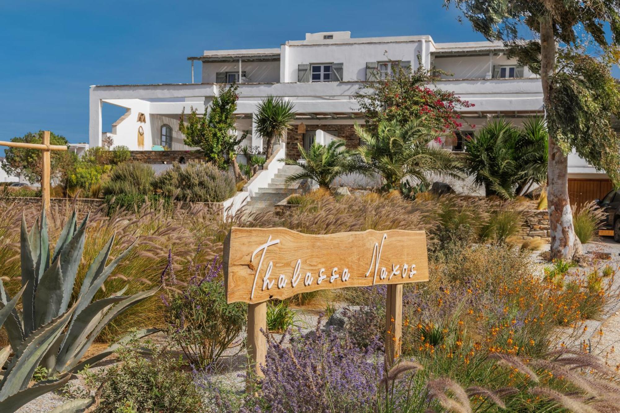 Thalassa Naxos Kastrákion Kültér fotó
