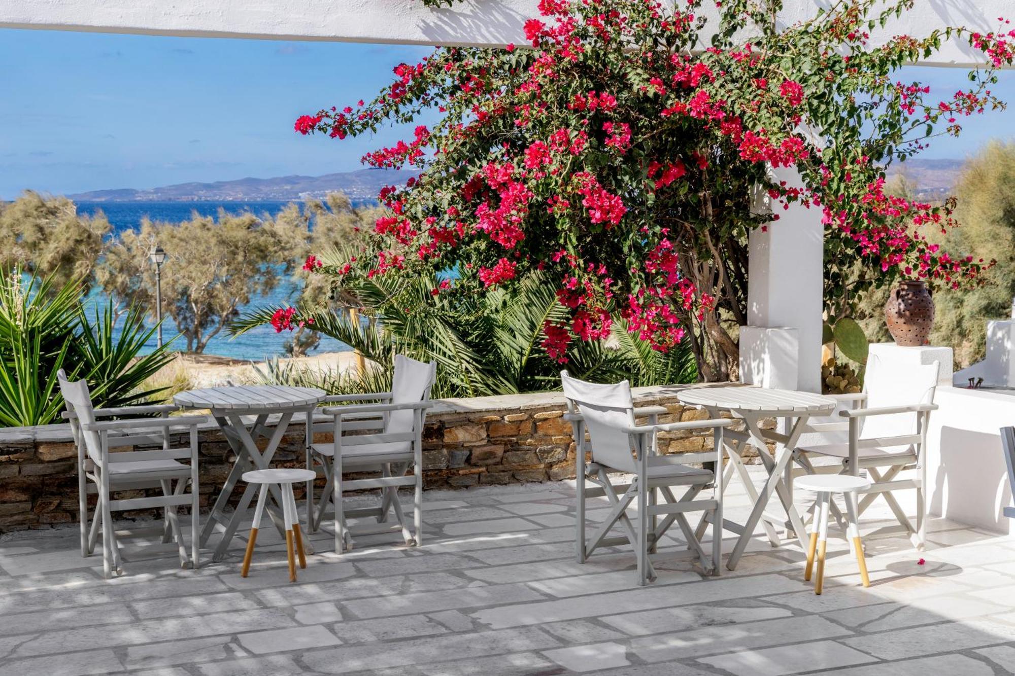 Thalassa Naxos Kastrákion Kültér fotó